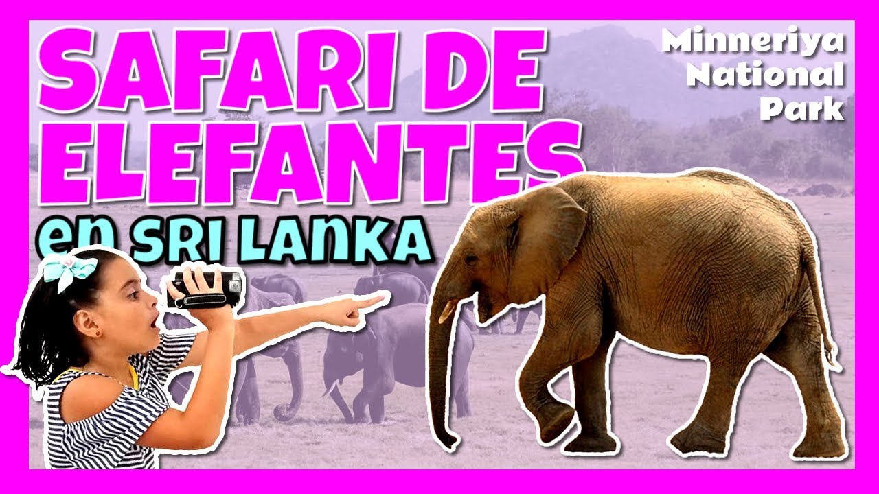 Safari en Yala o Udawalawe con niños: Guía para ver elefantes en Sri Lanka