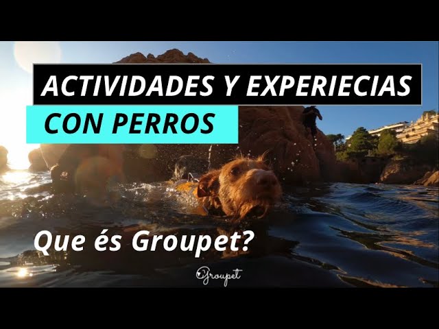 Actividades y experiencias