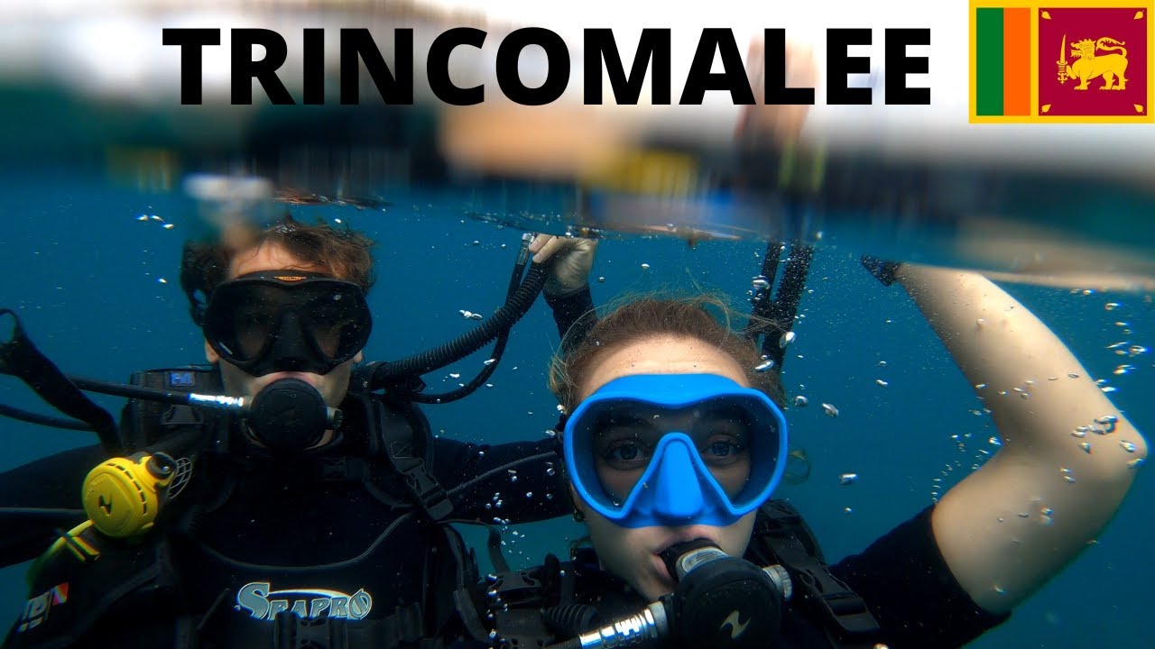 Buceo y Snorkel en Sri Lanka: Los Mejores Spots y Centros para Explorar sus Fondos Marinos
