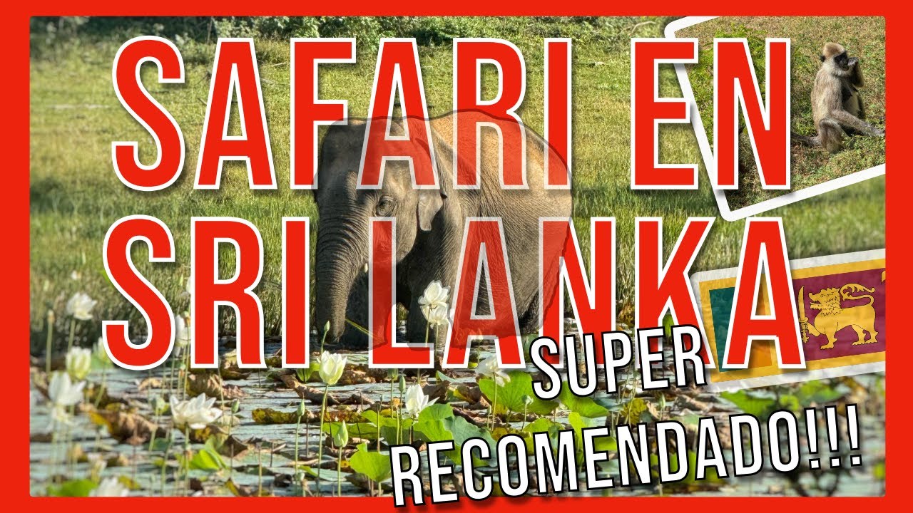 Safaris en Sri Lanka: Los Mejores Parques Nacionales para Ver Leopardos en 2024